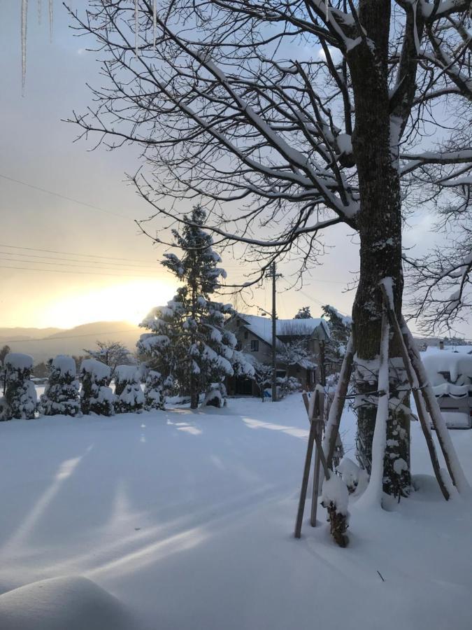 Hotel El Mayo Hakuba Kültér fotó